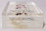 Richard Nixon Plexiglass Encased Postage Stamp Paperweight