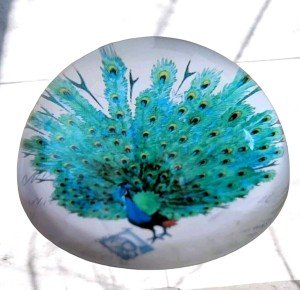 Peacock Art Glass Paperweight with Stamps Display