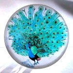 Peacock Art Glass Paperweight with Stamps Display