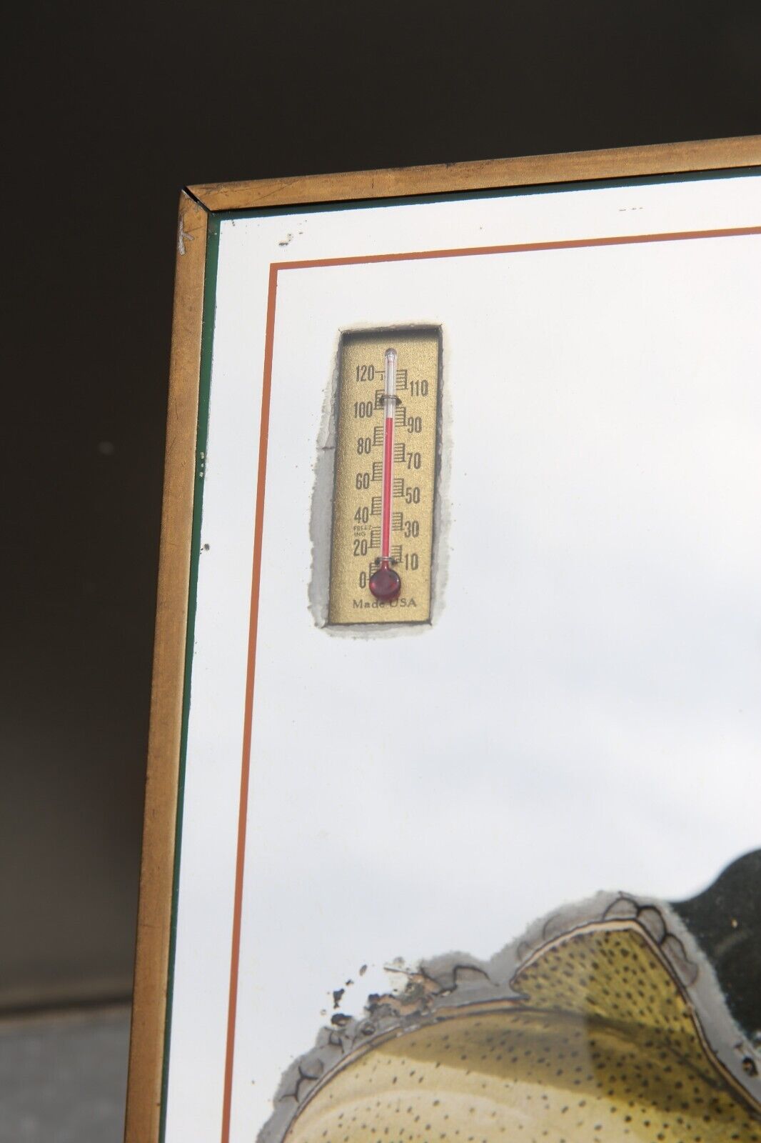 Antique Fishing Lure Advertising Thermometer: Vintage Bass Trout