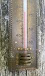 Vintage Tycos Brass and Wood Thermometer for Mancave