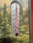 Goldsmith Bros Vintage Poultry Thermometer - Wauseon, Ohio