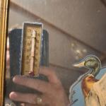 1930s Ben T. Wilson Chevrolet Mallard Duck Thermometer