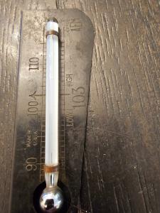 Antique Incubator Thermometer 103 - Quality Collectible