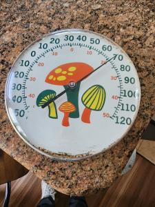Jumbo Mushroom Dial Thermometer - Ohio Company