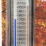 Springfield Palisades Vintage Indoor/Outdoor Thermometer