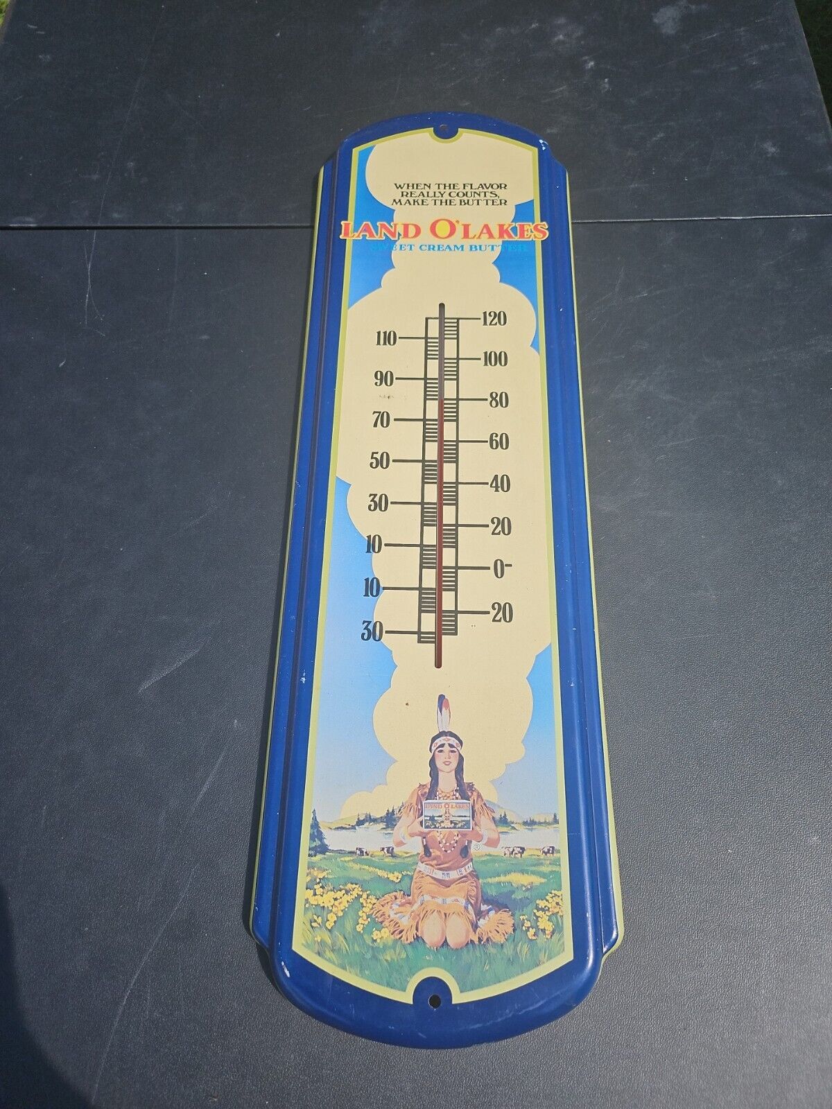 LAND O' LAKES SWEET CREAM Thermometer - Rare
