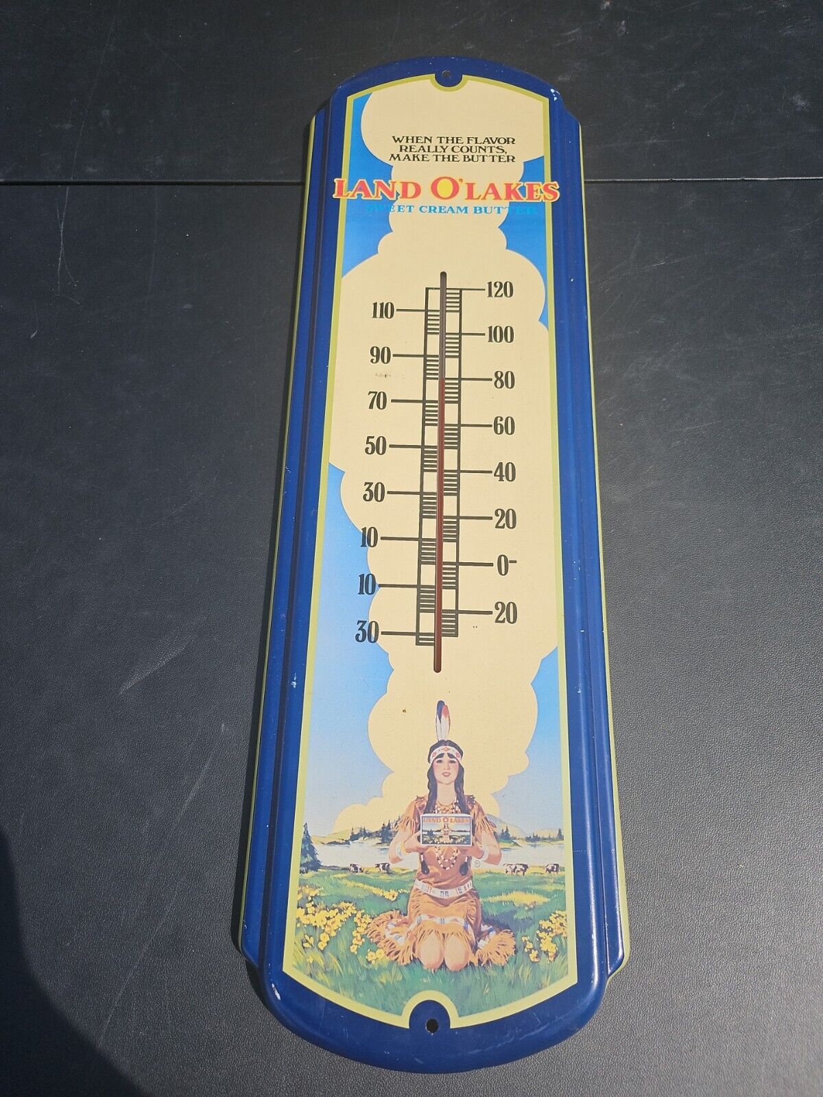 LAND O' LAKES SWEET CREAM Thermometer - Rare