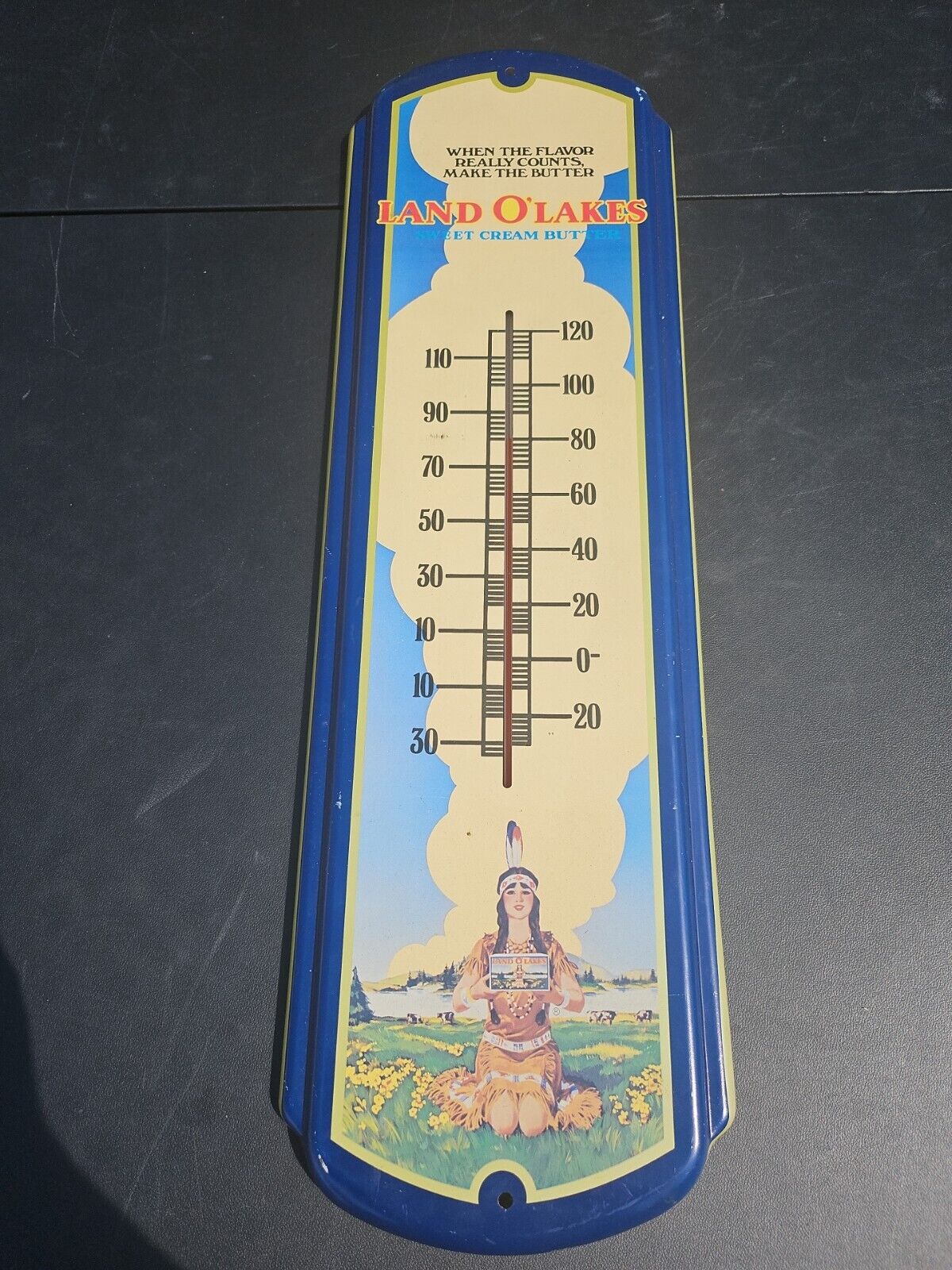 LAND O' LAKES SWEET CREAM Thermometer - Rare