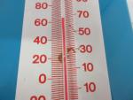 Royal Crown Cola Vintage Wall Thermometer