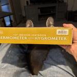 Springfield Rainbow 12" Wall Thermometer