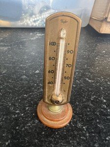 Vintage Glass & Bakelite Taylor Desktop Thermometer
