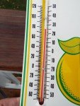 1977 SQUIRT Soda Tin Sign Thermometer
