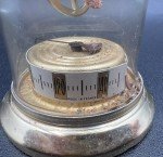 Vintage French Bird Glass Cage Thermometer 3.25”
