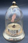 Vintage French Bird Glass Cage Thermometer 3.25”