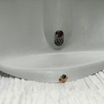 Coca Cola Bottle Metal Tin Thermometer - 16.5