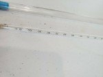 Vintage A.S. Lapine Thermometer with Case