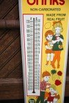 Greet Dot Fruit Drinks Metal Thermometer Sign