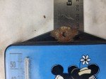 Walt Disney Coca Cola Porcelain Thermometer Sign