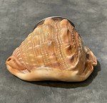 Shell Rochester Antique Room Thermometer