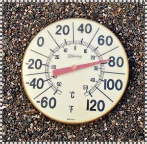 Vintage Springfield 12" Bold Number Thermometer