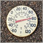 Vintage Springfield 12" Bold Number Thermometer