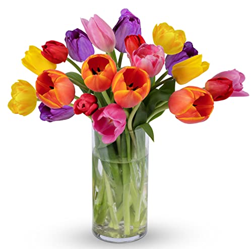 20 stem Tulips - Flowers for Women