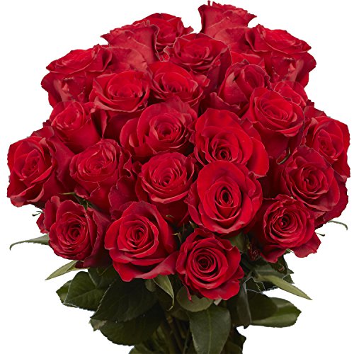 50 Red Roses- Fresh Cut Flowers- Beautiful Gift