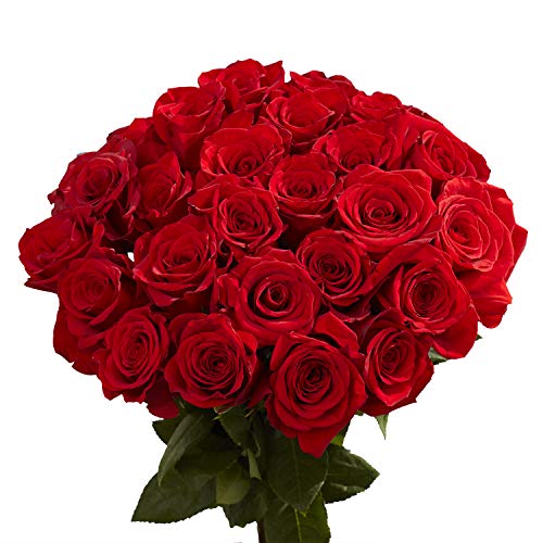 50 Red Roses- Fresh Cut Flowers- Beautiful Gift