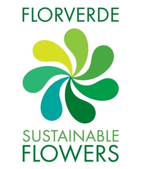 Flowering Fields Bouquet for Special Occasions - Women's Delight!