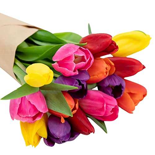 Colorful Tulips- Farm Fresh Bouquet- Direct from Farm