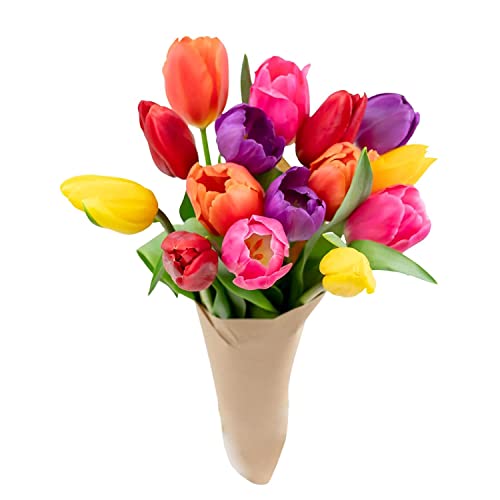 Colorful Tulips- Farm Fresh Bouquet- Direct from Farm