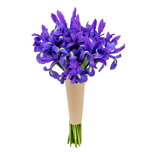 Roman Empire Bouquet - Telstar Iris Fresh Cut Flowers