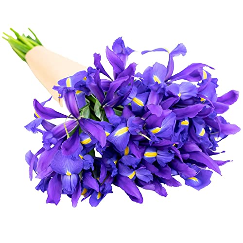 Roman Empire Bouquet: Floral Gift for Females