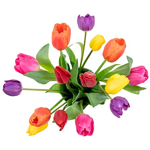Colorful Tulips- Farm Fresh Bouquet- Direct from Farm