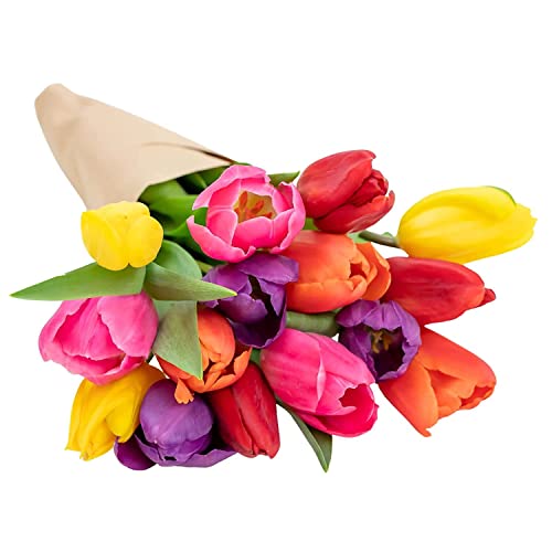 Colorful Tulips- Farm Fresh Bouquet- Direct from Farm