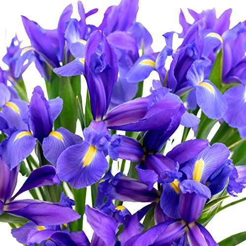 Roman Empire Bouquet: Floral Gift for Females