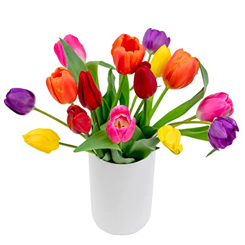 Colorful Tulips- Farm Fresh Bouquet- Direct from Farm
