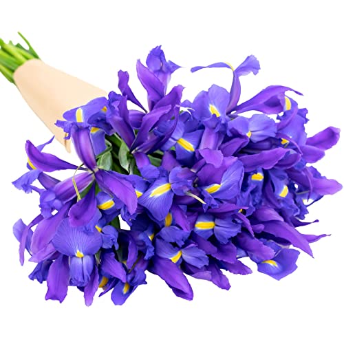 Roman Empire Bouquet: Floral Gift for Females