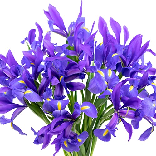 Roman Empire Bouquet: Floral Gift for Females