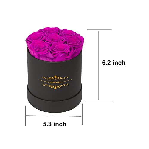 NATROSES Preserved Roses: Lasting Beauty for Her (Purple)