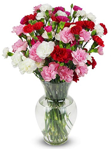 Rainbow Mini Carnations Bouquet: Vivid Beauty and Versatility