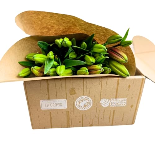 Fall Sunrise Bouquet: Royal Lilies, Fresh Flowers, Multi-Bud