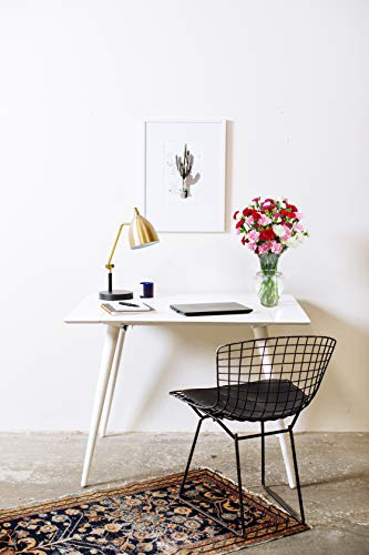 Rainbow Mini Carnations Bouquet: Vivid Beauty and Versatility