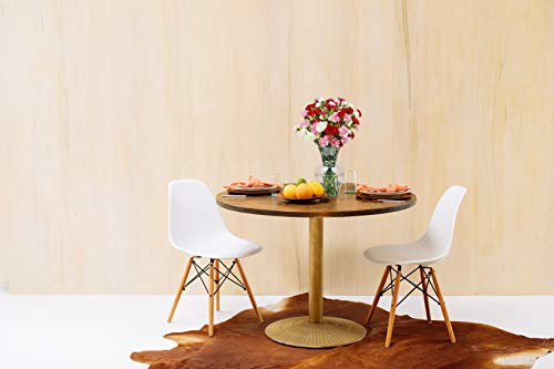 Rainbow Mini Carnations Bouquet: Vivid Beauty and Versatility