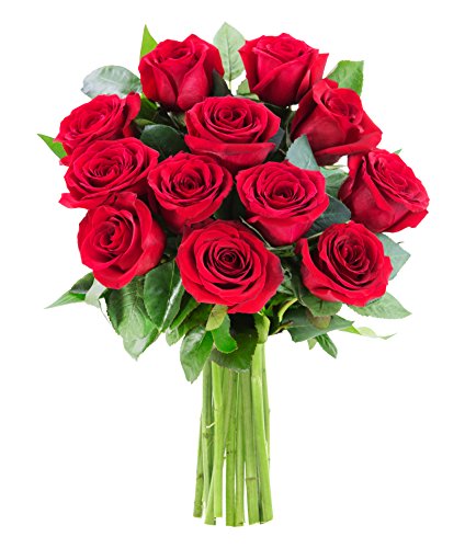 Valentine's Day Bouquet: 12 Fresh Red Roses for Females