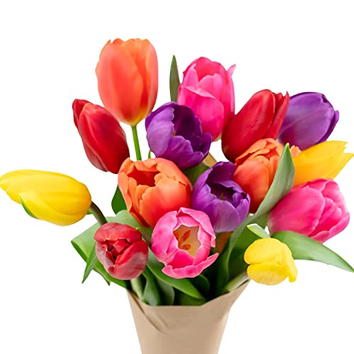 Colorful Tulip Bouquet - Farm Fresh Flowers for Her