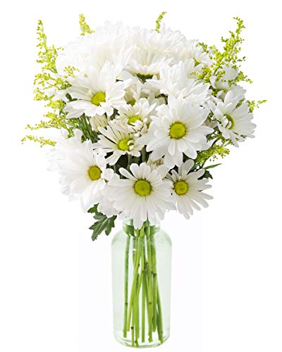 Fresh White Daisies with Vase - Bountiful Beauty