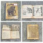 WWII Scrapbook Collection: 15 War Articles & Comics