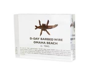 WWII Barbed Wire Artifact Display for Collectors
